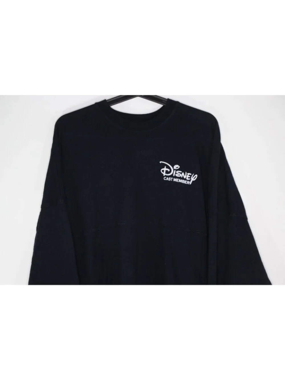 Disney parks spirit